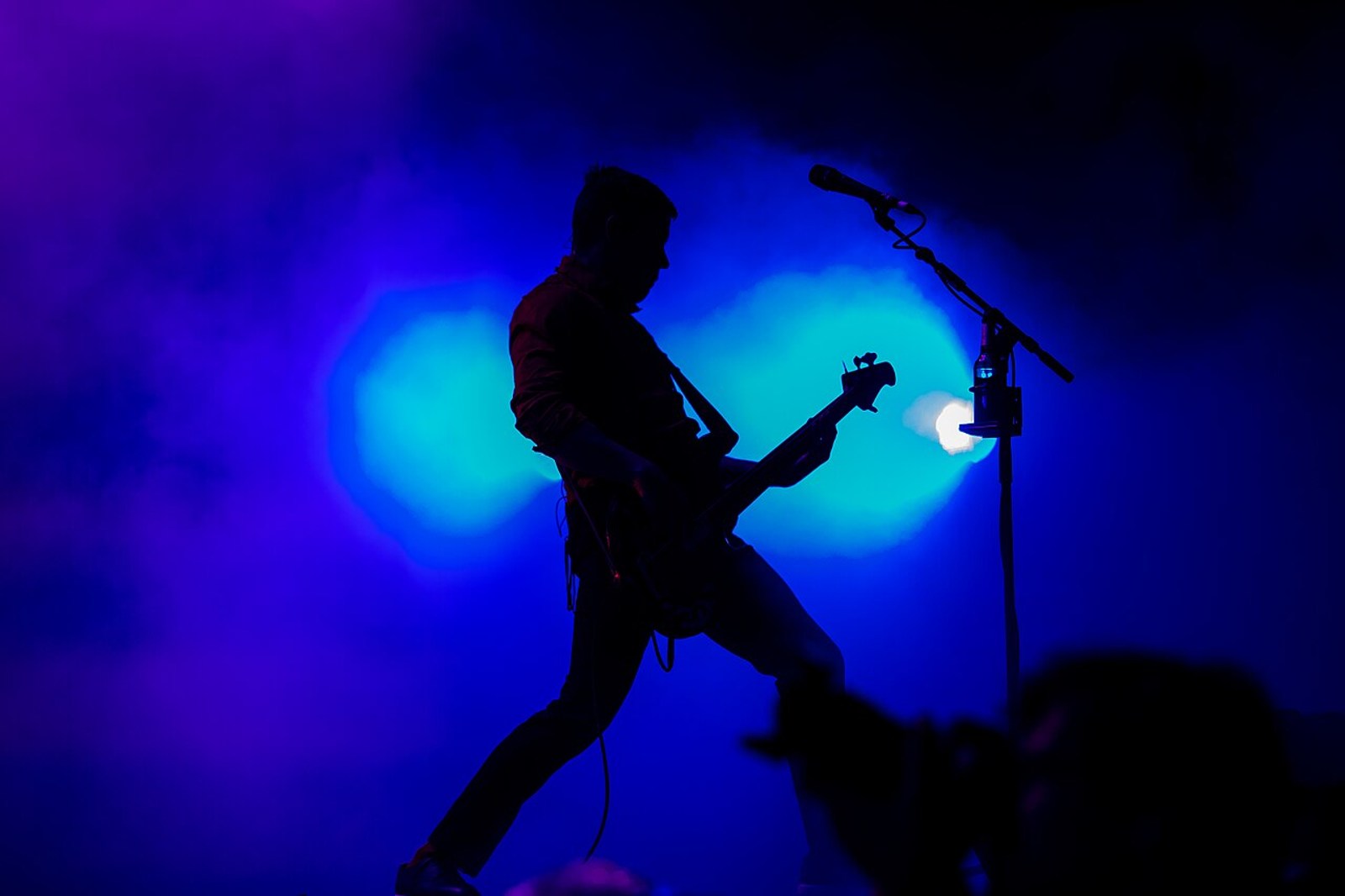 Ian D’Sa — Rock am Ring 2016