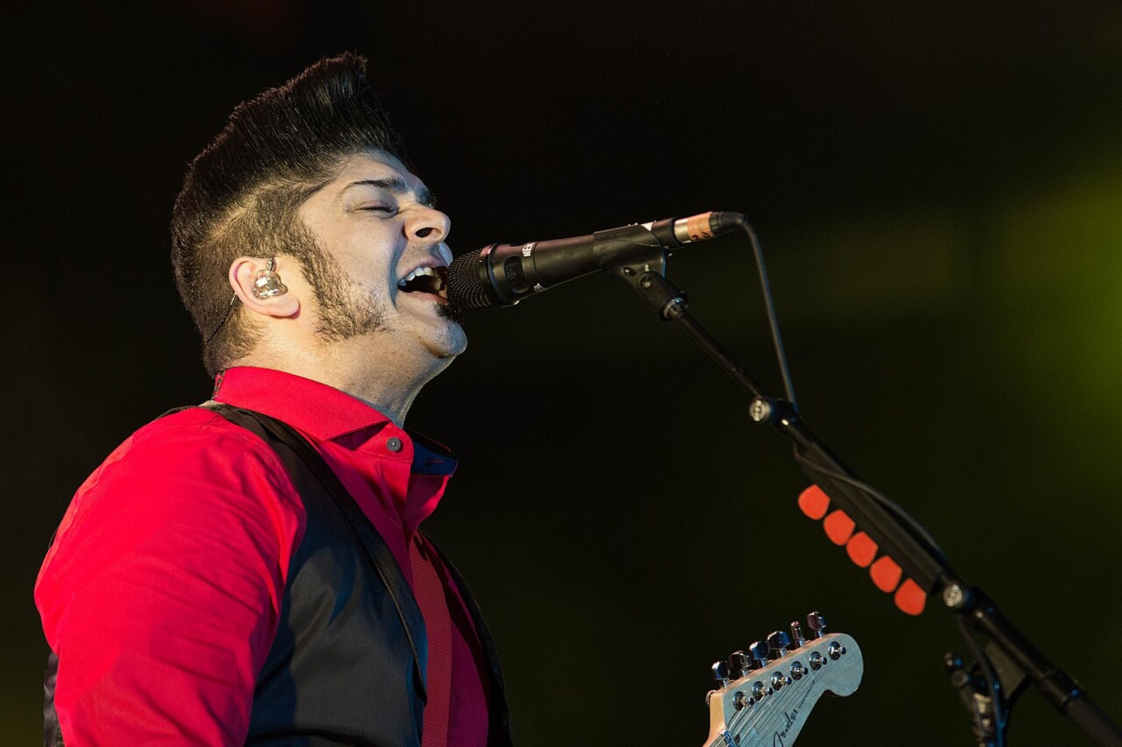 Ian D’Sa — Rock am Ring 2016