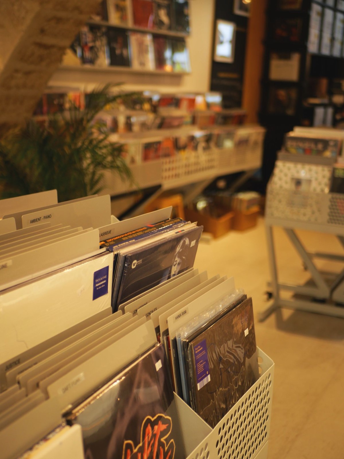 Record sleeves arranged in shop bins